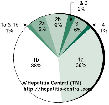 Prevalence of HCV genotypes and subtypes among American patients