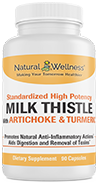 Milk Thistle Artichoke