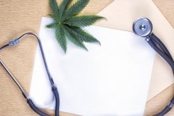 Can CBD Cure Opioid Addiction?