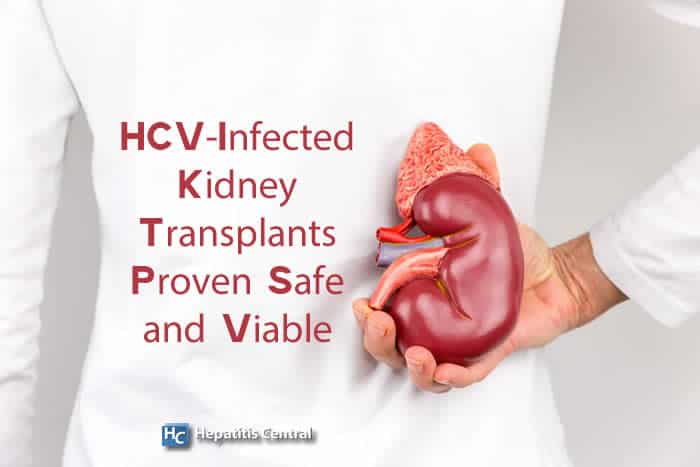 HCV-Infected Kidney Transplants Proven Safe and Viable