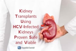 Kidney Transplants Using HCV-Infected Kidneys Proven Safe and Viable