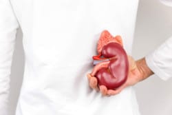 Kidney Transplants Using HCV-Infected Kidneys Proven Safe and Viable