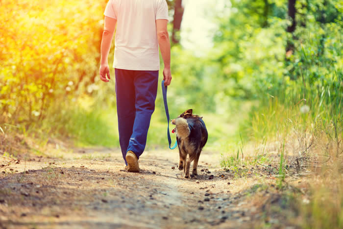 Taking your dog for a walk is a good form of physical activity.